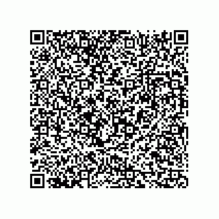 vCard 73816334311