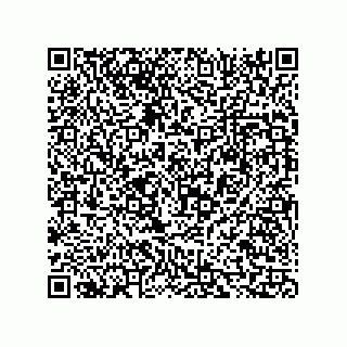 vCard 73816334319