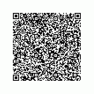 vCard 73816334329