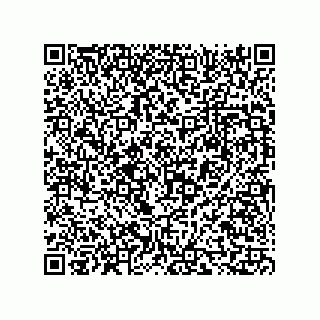 vCard 73816334331