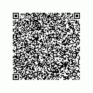 vCard 73816334333