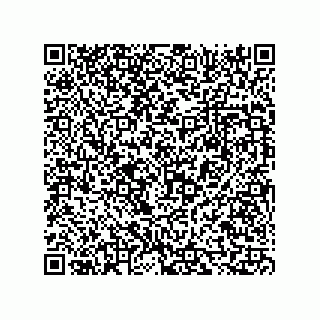 vCard 73816334339