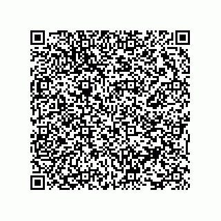 vCard 73816334370