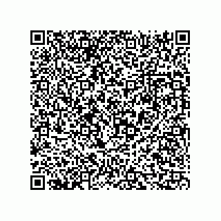 vCard 73816334379