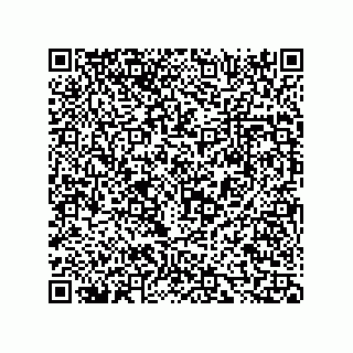 vCard 73816334380