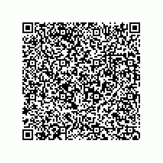 vCard 73816334381