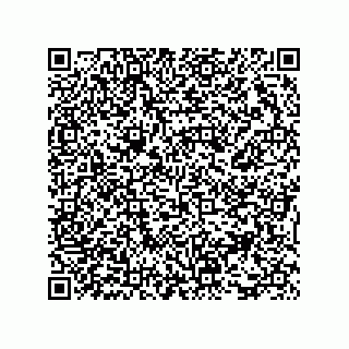 vCard 73816337132