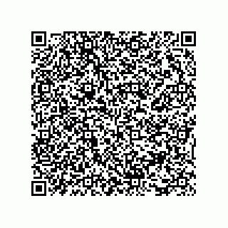 vCard 73816337139