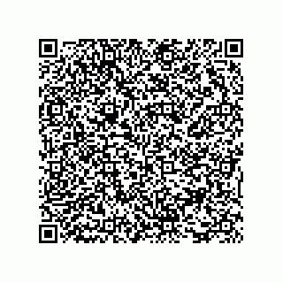 vCard 73816337177