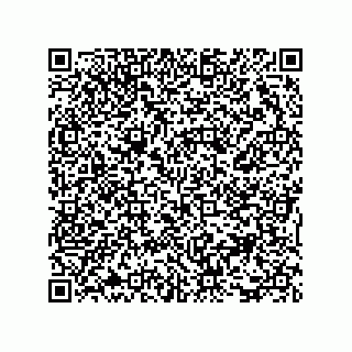 vCard 73816337187