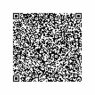 vCard 73816339111