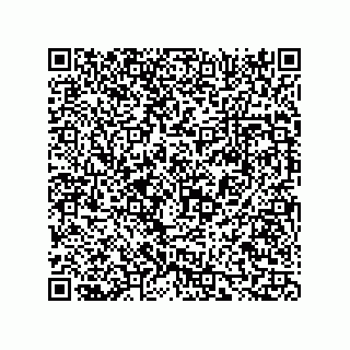 vCard 73816339113