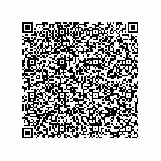 vCard 73816339119