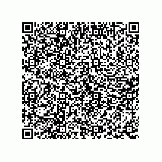 vCard 73816433119