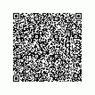 vCard 73816433290