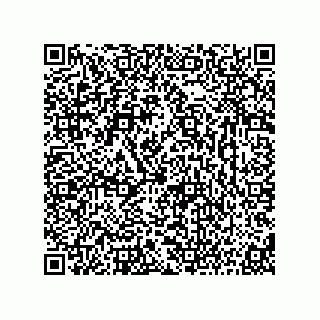vCard 73816433728