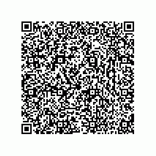 vCard 73816433793