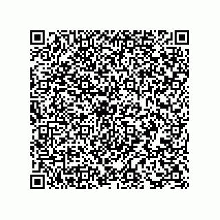vCard 73816655297