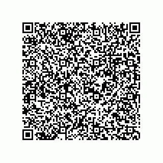 vCard 73816731295