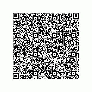 vCard 73816731313