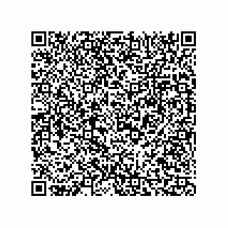 vCard 73816731317
