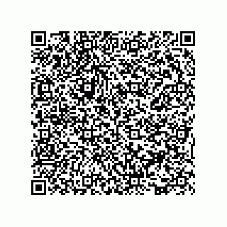 vCard 73816731325