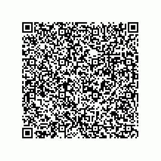 vCard 73816731331