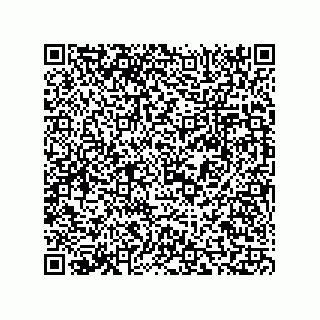 vCard 73816738331