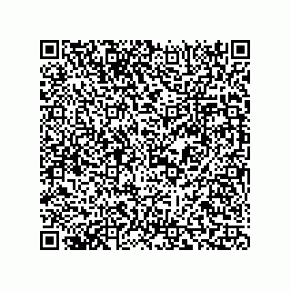 vCard 73816738411