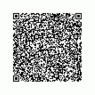 vCard 73816934208