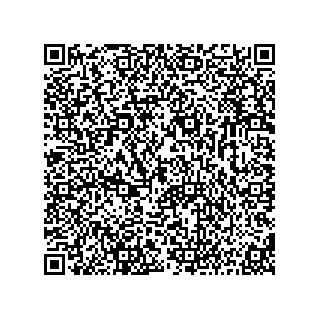 vCard 73816934272