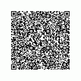 vCard 73816934295