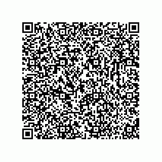 vCard 73816934381