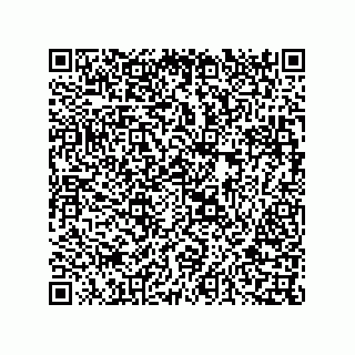 vCard 73817033381