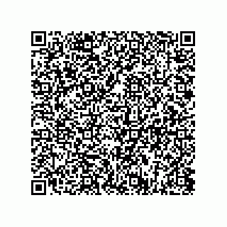 vCard 73817134131