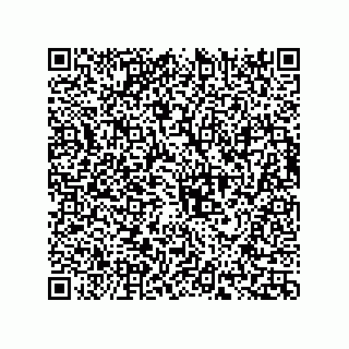 vCard 73817231299