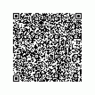vCard 73817231333
