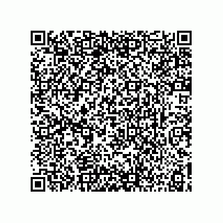 vCard 73817231377