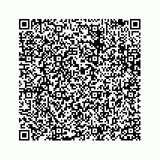vCard 73817320000