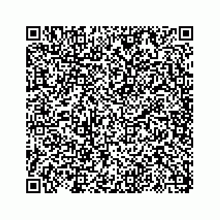 vCard 73817320029