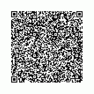 vCard 73817320300