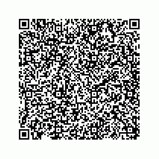 vCard 73817320319