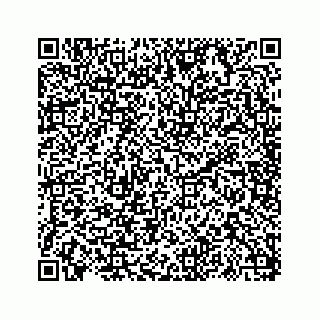 vCard 73817320379