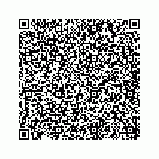 vCard 73817320381