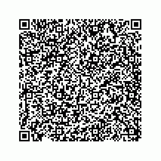 vCard 73817320383