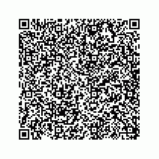 vCard 73817320384