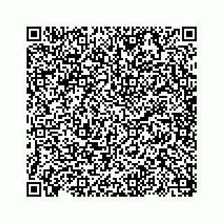 vCard 73817320385