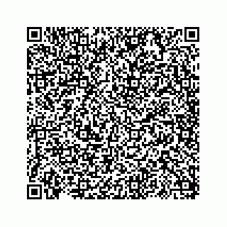vCard 73817320393