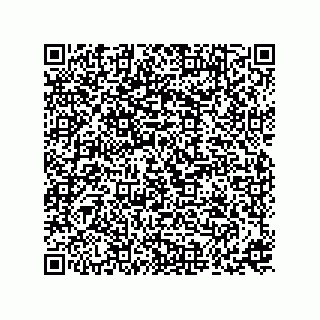 vCard 73817435392