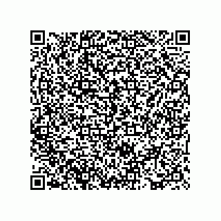 vCard 73817524919